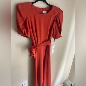 Calvin klein midi dress size 2